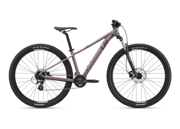 Tempt 3 27.5" (2022)