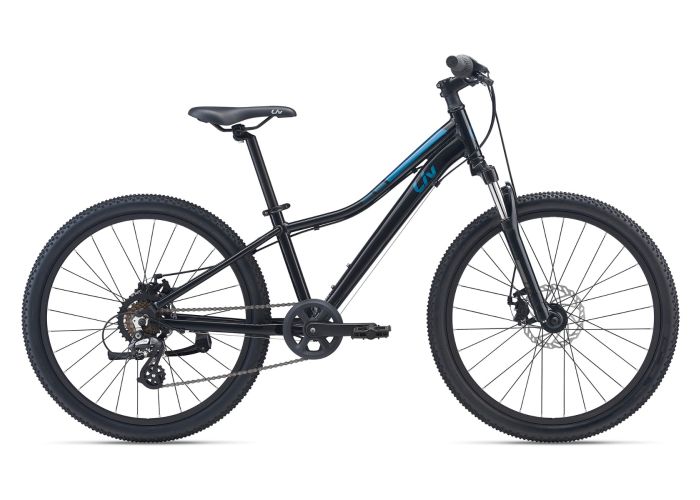 Enchant 24 Disc (2021)